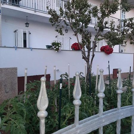 فوديس Apartment Bracic المظهر الخارجي الصورة