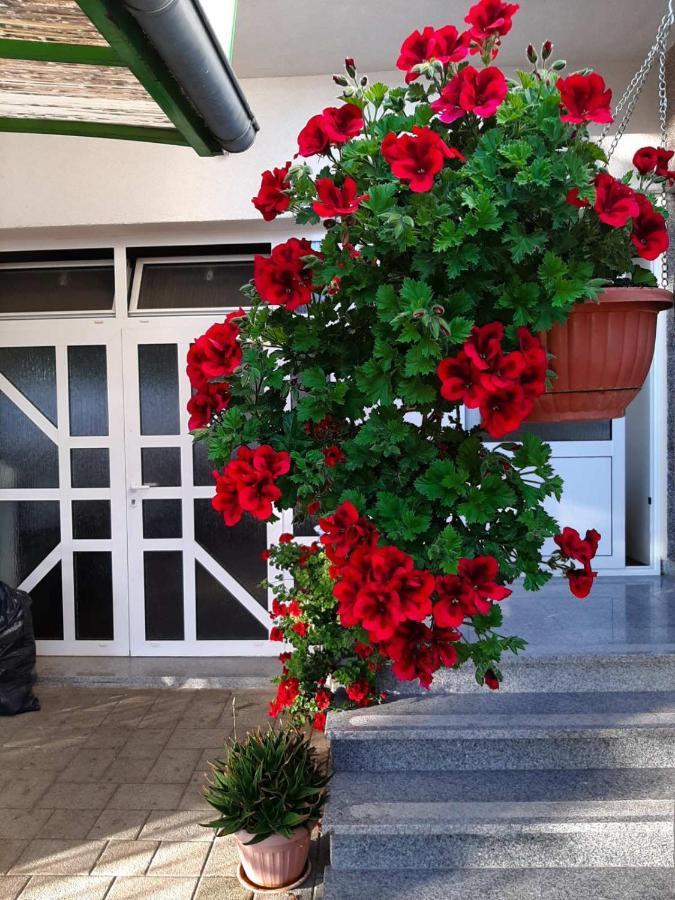 فوديس Apartment Bracic المظهر الخارجي الصورة